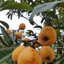 남계농장 이미지