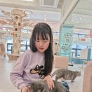 설렘고양이카페 이미지