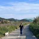 [일상] 임신 이모저모 (8) 37주-39주