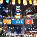 기장시장번영회 | 부산 해운대 가볼만한곳 해운대 여행 데이트
