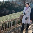 보성녹차닷컴 이미지