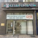 히트랩 | 셀포랩 라온점｜히트니스+웨이브테라피 후기