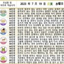 2023년 7월 19일 운세 및 세상 소식 이미지