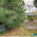 금송의원 이미지