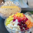 스노우드롭 | [카페] 스노우드롭:: 향남 1지구 생과일 빙수 맛집 솔직후기