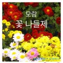 충남정심원 이미지