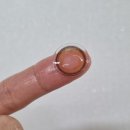 파리안경원 위드렌즈 이미지