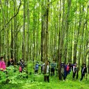 6월13일 목요답사 / ' 황룡산 비밀의 숲 포토존' ' 고봉산 진밭 3단콤보 경양식' '약산마을 시크릿수련연못" 이미지