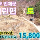 기린면 토지 1,306㎡(395평) 15,800만원 이미지