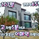 애플펫동물병원 이미지