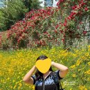 초록별음악학원 이미지