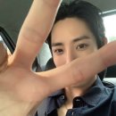 리프디자인 이미지