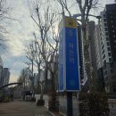 정부청사역 | 과천정부청사역 맛집 곰탕 맛집 영스타 돼지곰탕 &amp; 수육 솔직후기