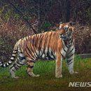 백두산동물병원 이미지