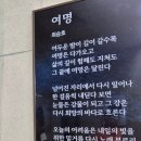 수영역 이미지