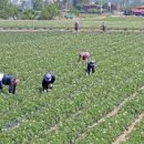 대행영농조합법인 이미지