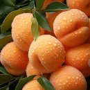 공원마을 이미지