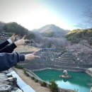 하동애견 | 하동 삼성궁 후기｜입장료·주차·소요시간·애견동반, 하동 가볼만한곳 추천