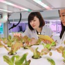 사옥농장 이미지