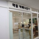 랙돌카페냐옹 이미지