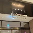 요거룸 | 웨스틴 서울 파르나스 호텔 룸업그레이드 후기 수영장