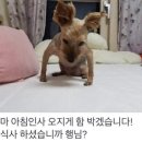 해피 - 화성시 효행로291번길 24 | 해피