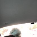 니나펫카페 이미지