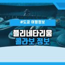 미놀라 네이버블로그