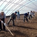 고라농장 이미지