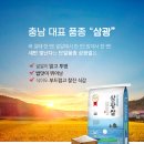 쿠팡에서 상등급 삼광쌀 20kg, 24% 할인받아 59,900원에 득템하세요!