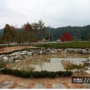 춘양양묘사업소 이미지