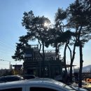 월랑쭈꾸미아산 이미지