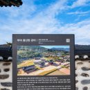 홍산객사 은행나무 | 블랙야크 역사문화대장정(2025.11.16) - 부여 홍산현관아