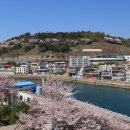 통영생태숲(입구) 이미지