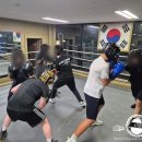 상록복싱체육관 이미지