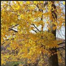 와룡리마을길 이미지