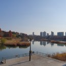 제주청개구리부동산중개 이미지