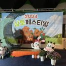 횡성아로니아판매 | 원주 삼토페스티벌, 태장1동 주민화합축제 야시장 방문 후기