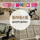 부평 필라테스 체형교정 전문 필라테스림 맞춤레슨 후기