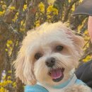 스며들397펜션 이미지