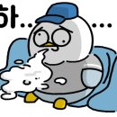 더팟츠 이미지