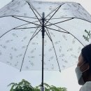 스콜미디어 - 금천구 가산디지털1로 212 | 스콜미디어