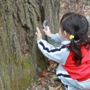 순천자연휴양림 이미지