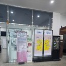 [파주 가볼만한곳] 아이와 DMZ 평화관광 예약 및 제3땅굴 생생 후기 (예약 꿀팁)