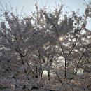 친친 | [당산 맛집]당산파스타 당산피자 당산와인바 친친 후기