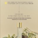 [세럼,미스트]기초화장품 •로아르/마녀공장/리르• (겨울철보습템 비교)