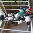 흑백세탁 이미지