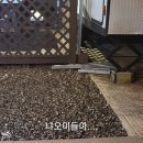 포일떡집 이미지