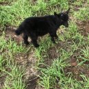 경실목장 이미지