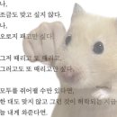 덕산제면소